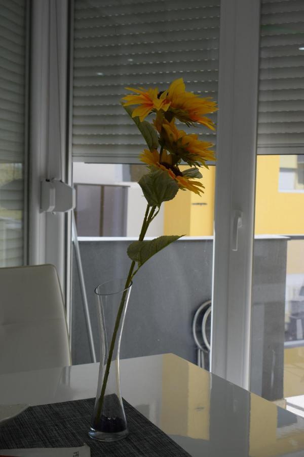 Apartmani K&V Veliko Gradište المظهر الخارجي الصورة