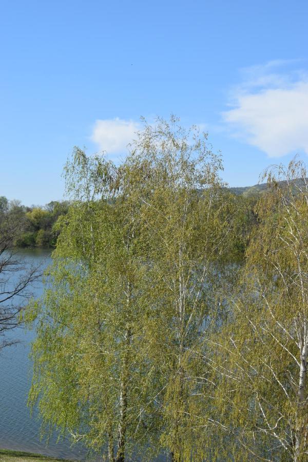 Apartmani K&V Veliko Gradište المظهر الخارجي الصورة