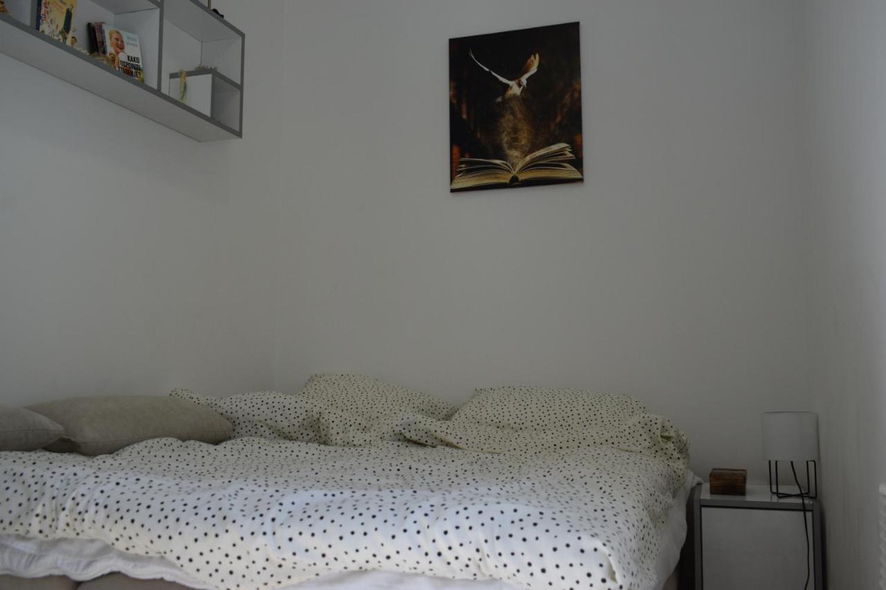 Apartmani K&V Veliko Gradište المظهر الخارجي الصورة