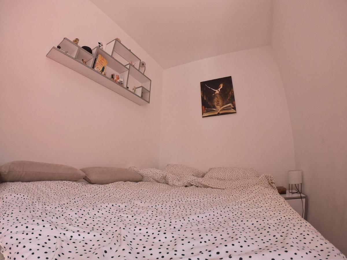 Apartmani K&V Veliko Gradište المظهر الخارجي الصورة